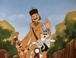 фото - UFC попрощался с 12-ю бойцами: список