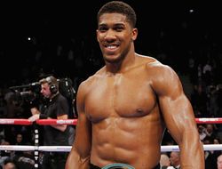 фото - Джошуа в осаде