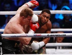 фото - В IBF санкционировали интригующий элиминатор в хэвивейте