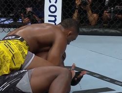 фото - Алмейда побил Льюиса, но разочаровал перформансом