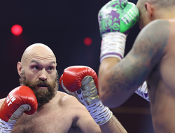 фото - Уоррен объявил крестовый поход против СМИ — колумнист обидел Фьюри