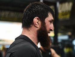 фото - Прохазка бросил вызов Анкалаеву. Реакция Магомеда