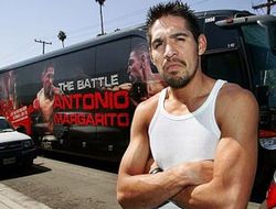 фото - Маргарито хочет драться с Котто и Альваресом, дает прогноз на их бой 