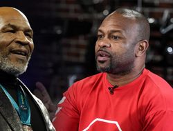 фото - Старые псы