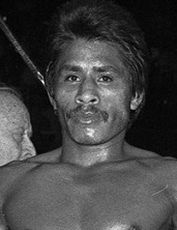 Лупе Пинтор