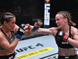 фото - Самый сок. Лучшие моменты UFC 255 в одном видео