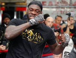 фото - Уайлдер: Вот и пришёл конец карьере Стиверна