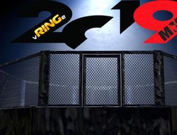 фото - Итоги 2019 года в ММА: версия vRINGe.com