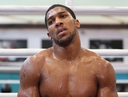 фото - Джошуа: Если придётся — следующий бой проведу с Поветкиным