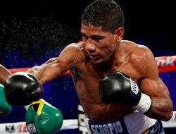 фото - Вице-президент Top Rank нахваливает «волшебника» Василия Ломаченко