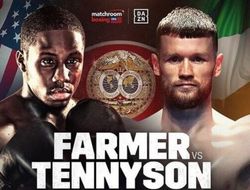 фото - У Жервонты Дэвиса появилась прицельная точка на спине: Фармер собрался его бить