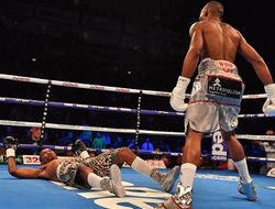 фото - Лучшие нокауты 2017 года — видео от vRINGe.com