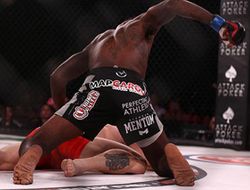 фото - Bellator 127: Штраус нокаутировал Уилкокса и другие результаты