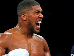 фото - Джошуа выйдет на реванш с Усиком рвать и метать — новый тренер британца