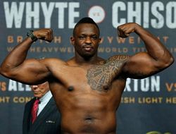 фото - Блоги: "Серебряный" чемпион