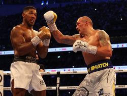 фото - Что Джошуа сделал не так в бою с Усиком? Рассказывает британский эксперт