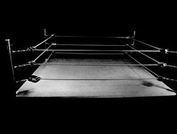 фото - В России захотели вернуть в ринг Валуева и Цзю