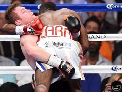 фото - Правила игры.  На примере боя Альварес - Лара