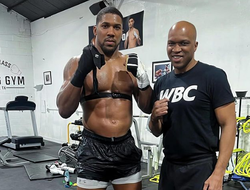 фото - Назван самый вероятный соперник Джошуа на декабрь. И это солидный бой