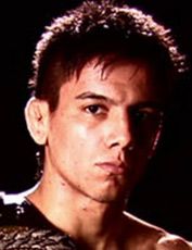 Мигель Торрес