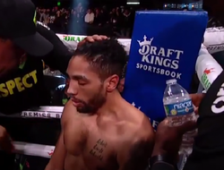 фото - Экс-чемпион Джеймс побил Палметту в шикарном махаче: видео