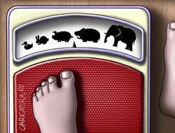 фото - Диас потерял титул на весах, Рахимов, Кастаньо, Тейшейра и Меликузиев тоже взвесились: результаты и фото