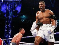 фото - IBF потребует от Джошуа провести бой с Пулевом