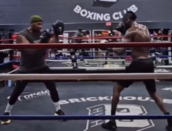 фото - Уайлдер вернулся в зал: смотрите видео работы на лапах