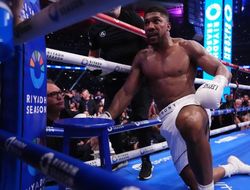 фото - У Джошуа есть право на реванш с Дюбуа? Ответ знает топ-инсайдер