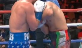 Куриэль и Пантен потешили знатным махачем: видео