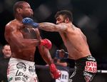 Bellator 134: Макгири отобрал титул у Ньютона, Лаваль одолел Конго