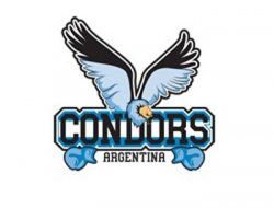 фото - WSB: «Аргентинские кондоры» – 3:2 – «Команда Германии»