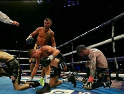 фото - Легковесы преклоняют колено перед Ломаченко, жуткие рассечения Фьюри, Скотт бреет свою половинку — соцсети