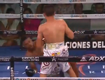 Элиминатор WBC завершился жёстким нокаутом: видео