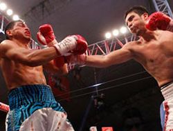 фото - Антонио Демарко не оставил шансов Хесусу Гурроле