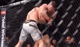 Реакция ММА общественности на победу Махачева на Маддаленой