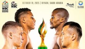 Прямая трансляция: полуфиналы Гран-при WBC. Смотреть онлайн
