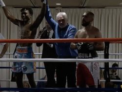 фото - Холифилд побил джорнимена, Фаниян защитил титул — результаты, видео