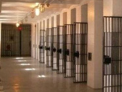 фото - Несостоявшийся боец UFC приговорён к 15 годам тюрьмы