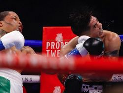 фото - Санта Крус поздравил Дэвиса, тот ответил благодарностью: пара твитов воинов ринга