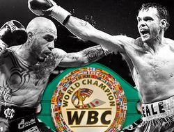 фото - Предварительное взвешивание: Гил в норме, Котто слегка «пузат»