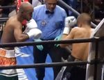 В мисматче разыгран очередной полутитул WBA: видео