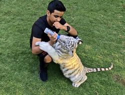 фото - Мажор из Дубая готов драться с Мейвезером: «Рождённый со львами людей не боится»