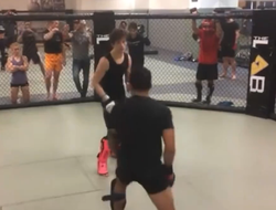 фото - Пантожа наврал с три короба? О’Мэлли показал кадры «того самого» спарринга: видео 