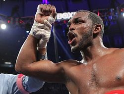 фото - Хотим устроить Головкину бой против Джонсона – функционер