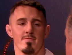 фото - Фьюри? Джойс? Верхувен? Вы удивитесь, кто бил Аспиналла сильнее всех