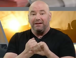 фото - «Самое страшное избиение» — Уайт о спарринге Макгрегора и Малиньяджи