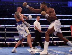 фото - Майк Тайсон: «Усик слишком быстрый для Джошуа»