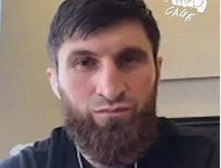 фото - Вражда или спектакль для фанов? Анкалаев о конфликте с Перейрой