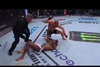 UFC on ESPN 54: Бланчфилд – Фьоро. Видео лучших моментов, бонусы турнира